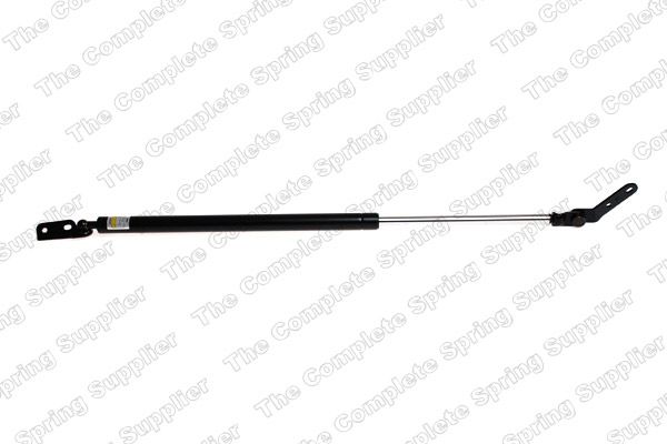 Gasfeder, Koffer-/Laderaum