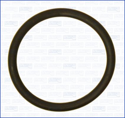 Dichtung, Unterdruck-Anschlussstutzen BKV