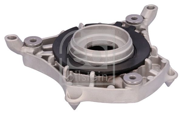 Federbeinstützlager