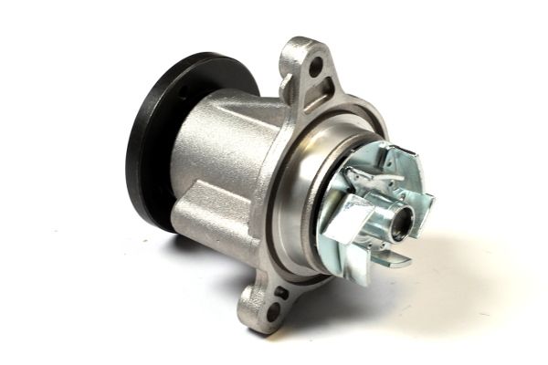 Wasserpumpe, Motorkühlung