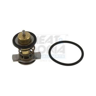 Thermostat, Kühlmittel