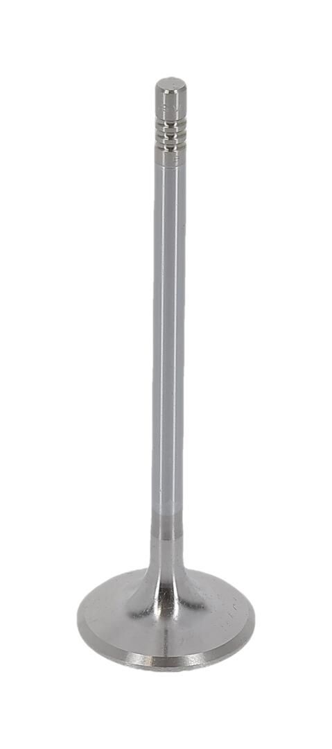Einlassventil