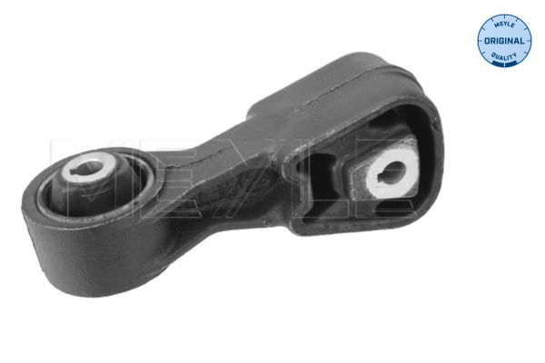 Halter, Motoraufhängung