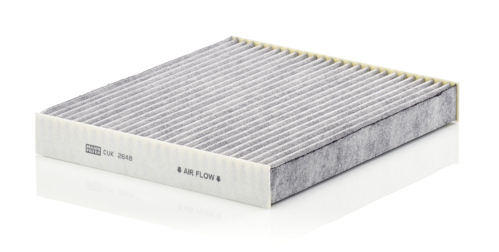 Filter, Innenraumluft