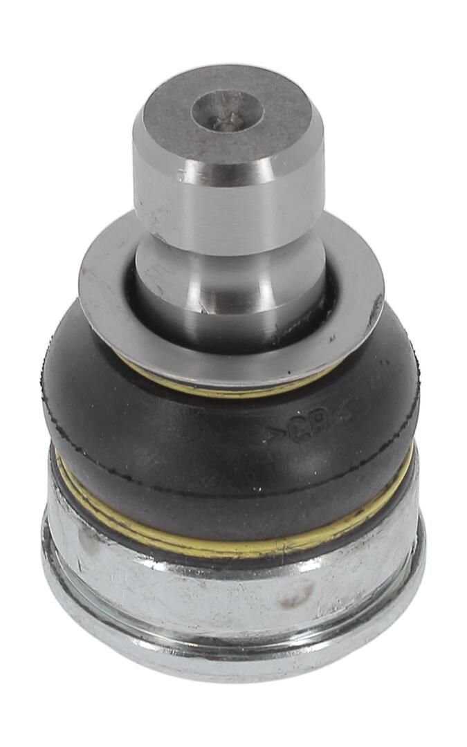 Trag-/Führungsgelenk