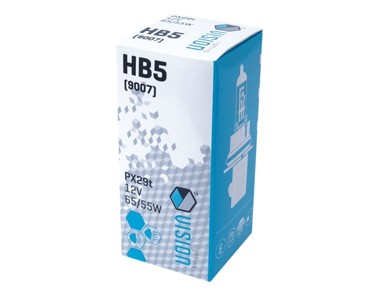 Vision HB5 Glühlampe 12V 65/55W Autolampe P29t
