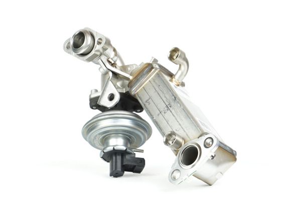 Kühler, Abgasrückführung