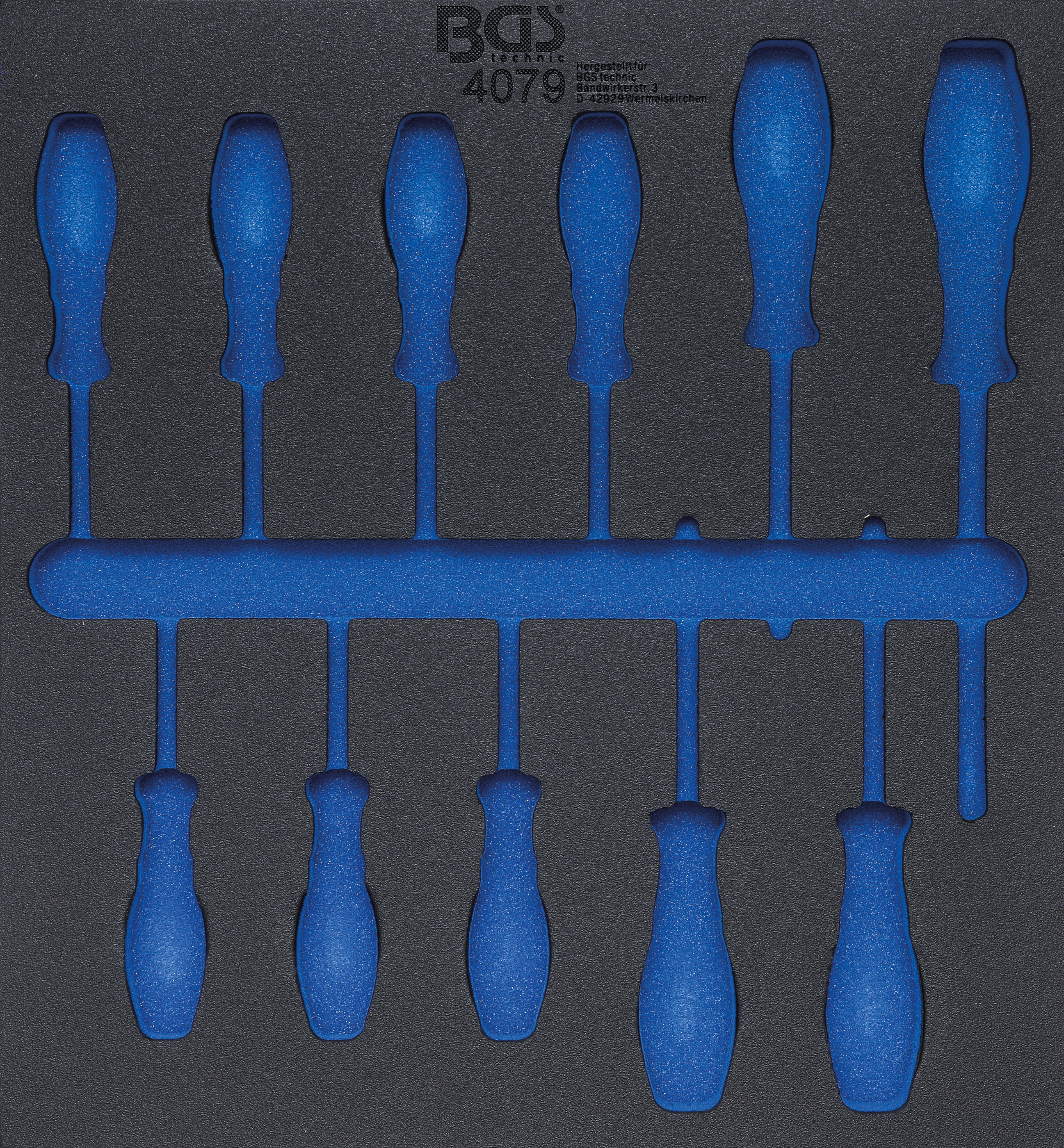 BGS Werkstattwageneinlage 2/3 | leer | für Art. 4079