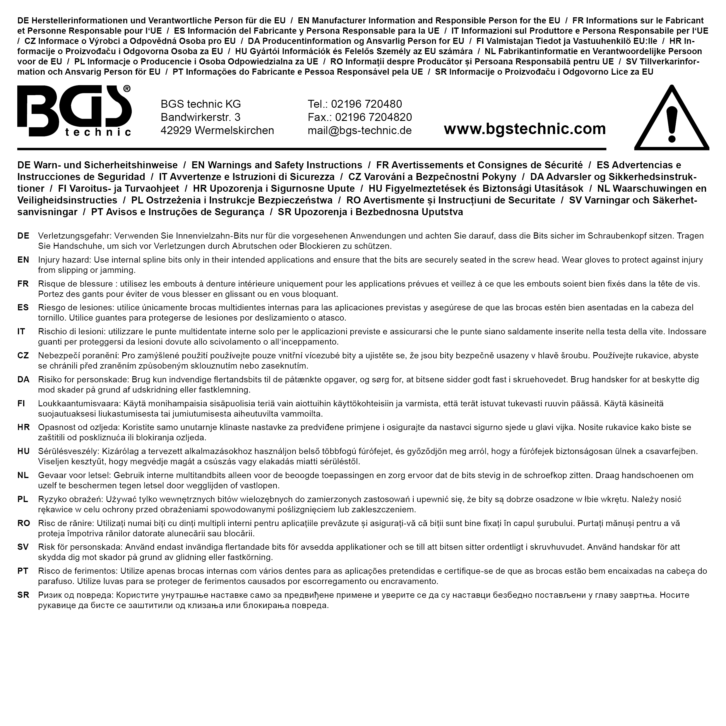BGS Bit-Einsatz | Länge 100 mm | Antrieb Innenvierkant 12,5 mm (1/2") | Innenvielzahn (für XZN) M12