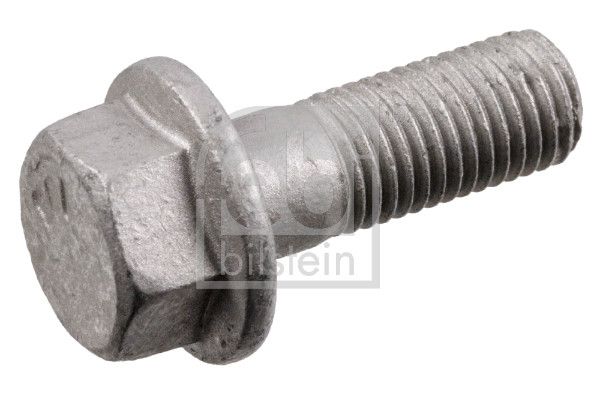 Schraube, Bremssattel