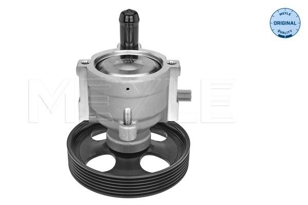 Hydraulikpumpe, Lenkung