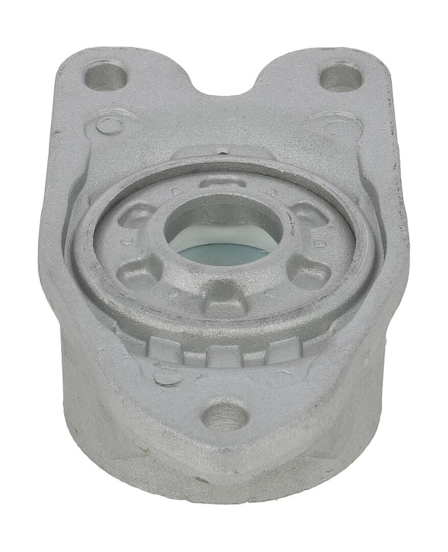 Federbeinstützlager