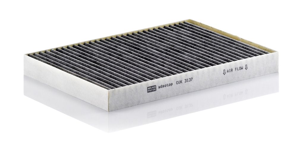 Filter, Innenraumluft