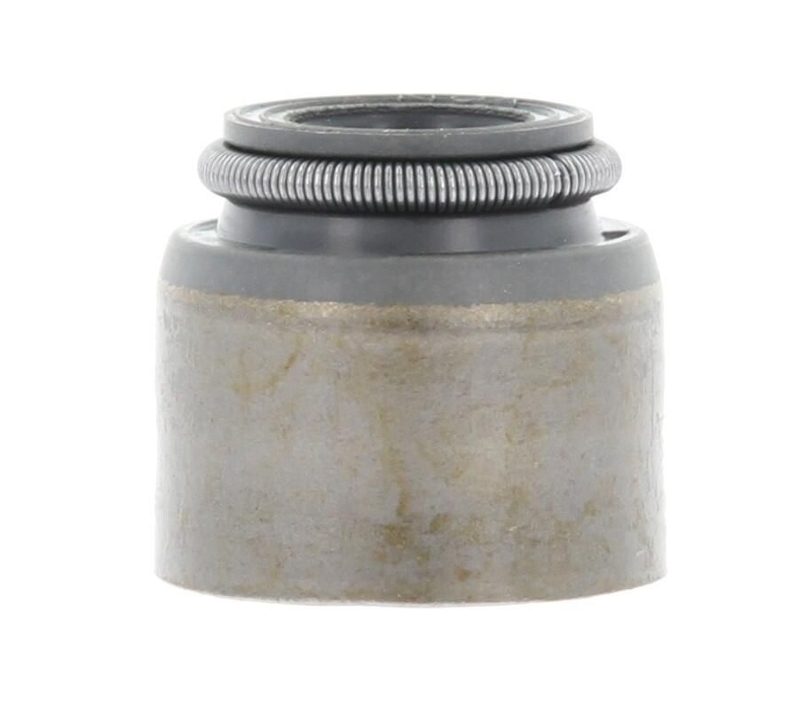 Dichtring, Ventilschaft