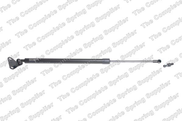 Gasfeder, Koffer-/Laderaum