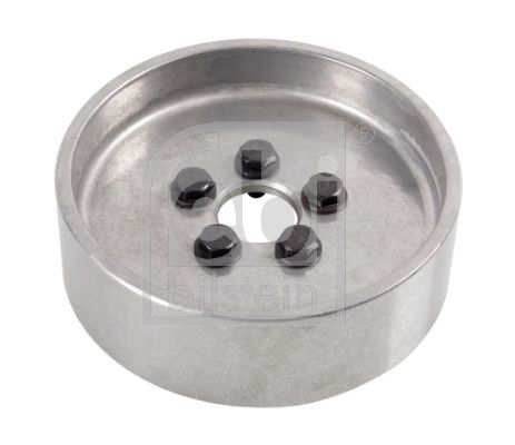 Riemenscheibe, Wasserpumpe