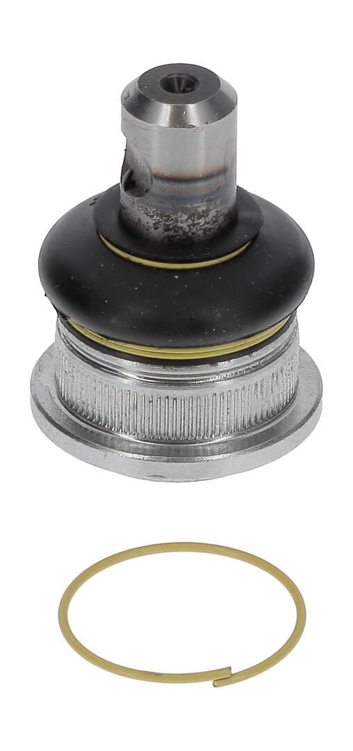 Trag-/Führungsgelenk