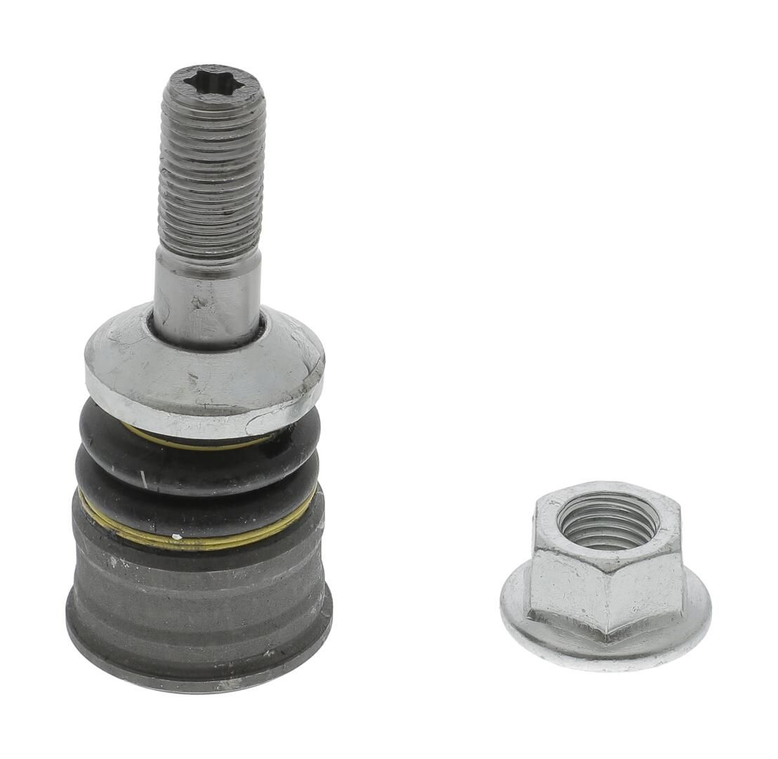 Trag-/Führungsgelenk