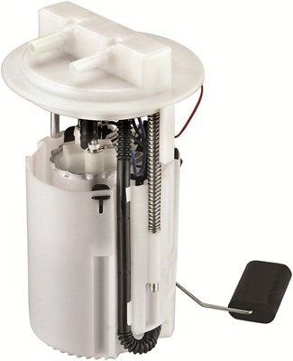 Kraftstofffördermodul