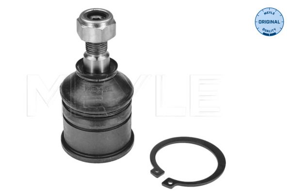 Trag-/Führungsgelenk