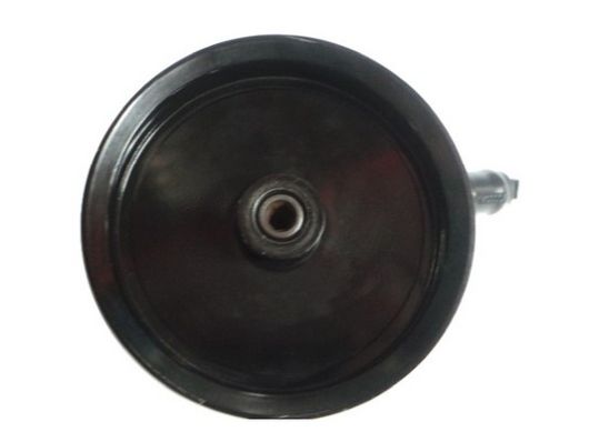 Hydraulikpumpe, Lenkung