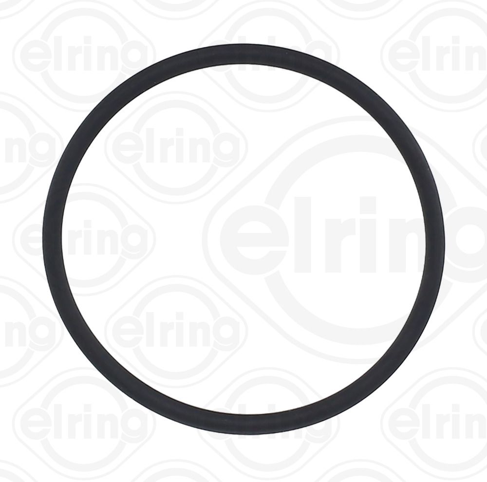Dichtring