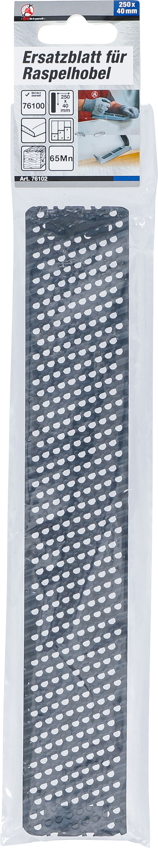 BGS Ersatzblatt für Raspelhobel | 250 x 40 mm