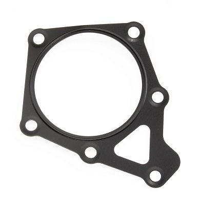 Dichtung, Einspritzpumpe