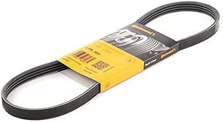 Keilrippenriemen Continental Contitech 4PK800