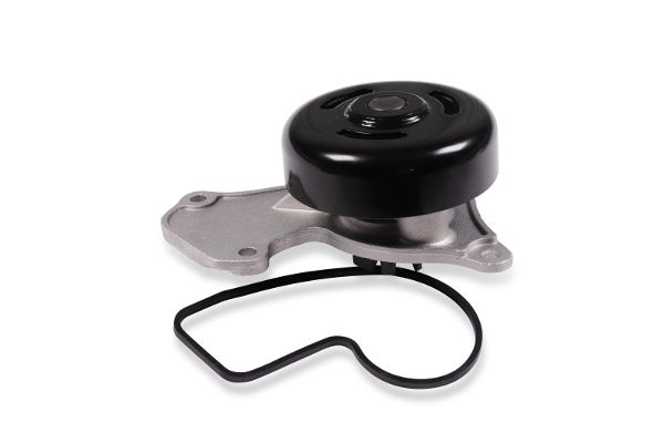 Wasserpumpe, Motorkühlung