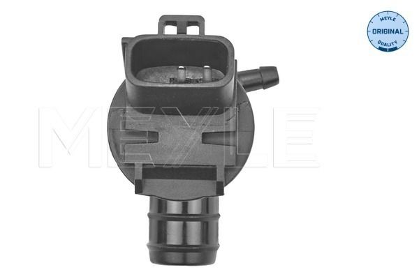 Waschwasserpumpe, Scheibenreinigung