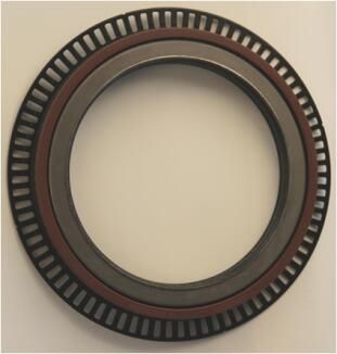 Wellendichtring, Radnabe