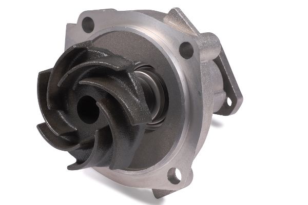 Wasserpumpe, Motorkühlung