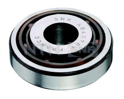 Wälzlager, Federbeinstützlager