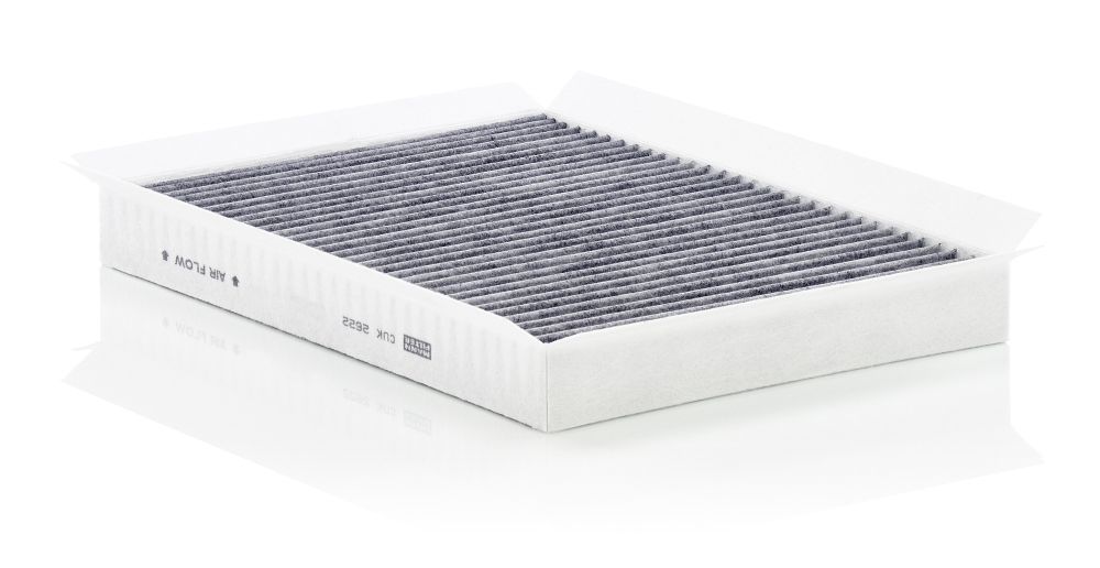 Filter, Innenraumluft