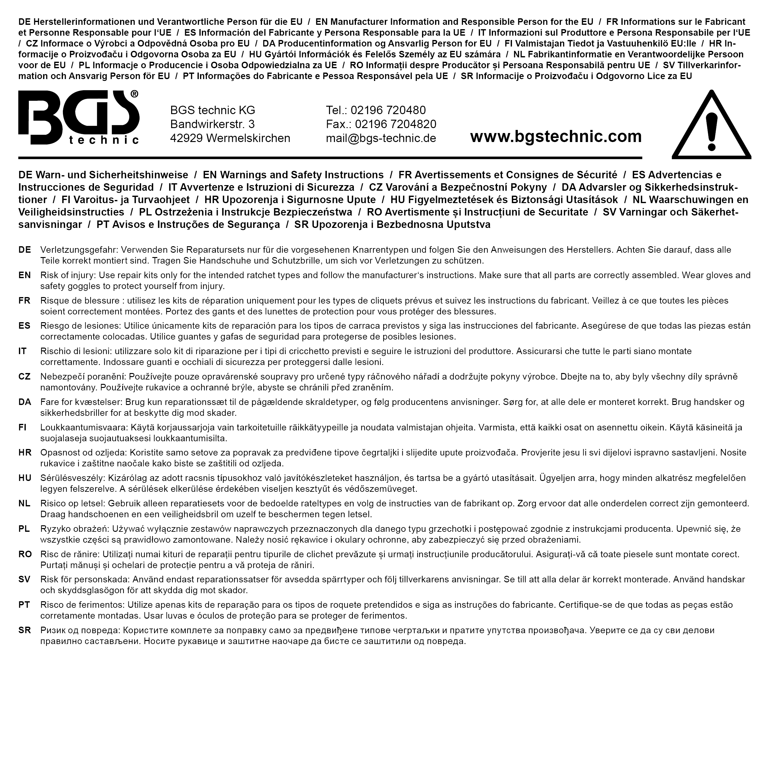 BGS Reparatursatz für Knarrenkopf | für Art. 602