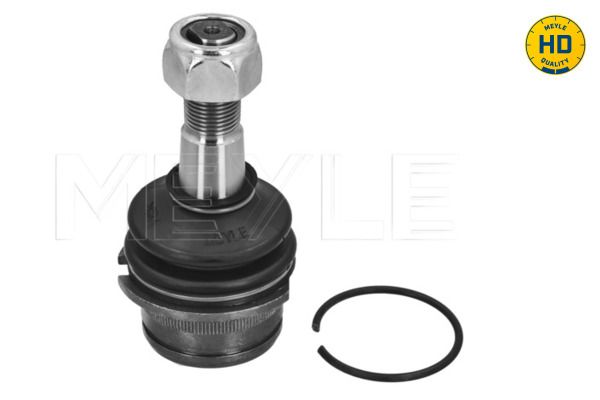 Trag-/Führungsgelenk