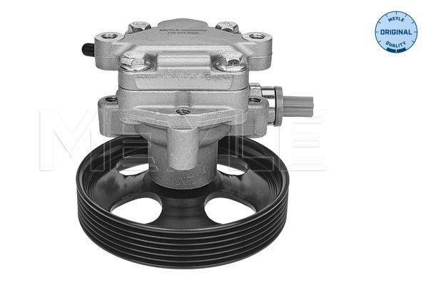 Hydraulikpumpe, Lenkung