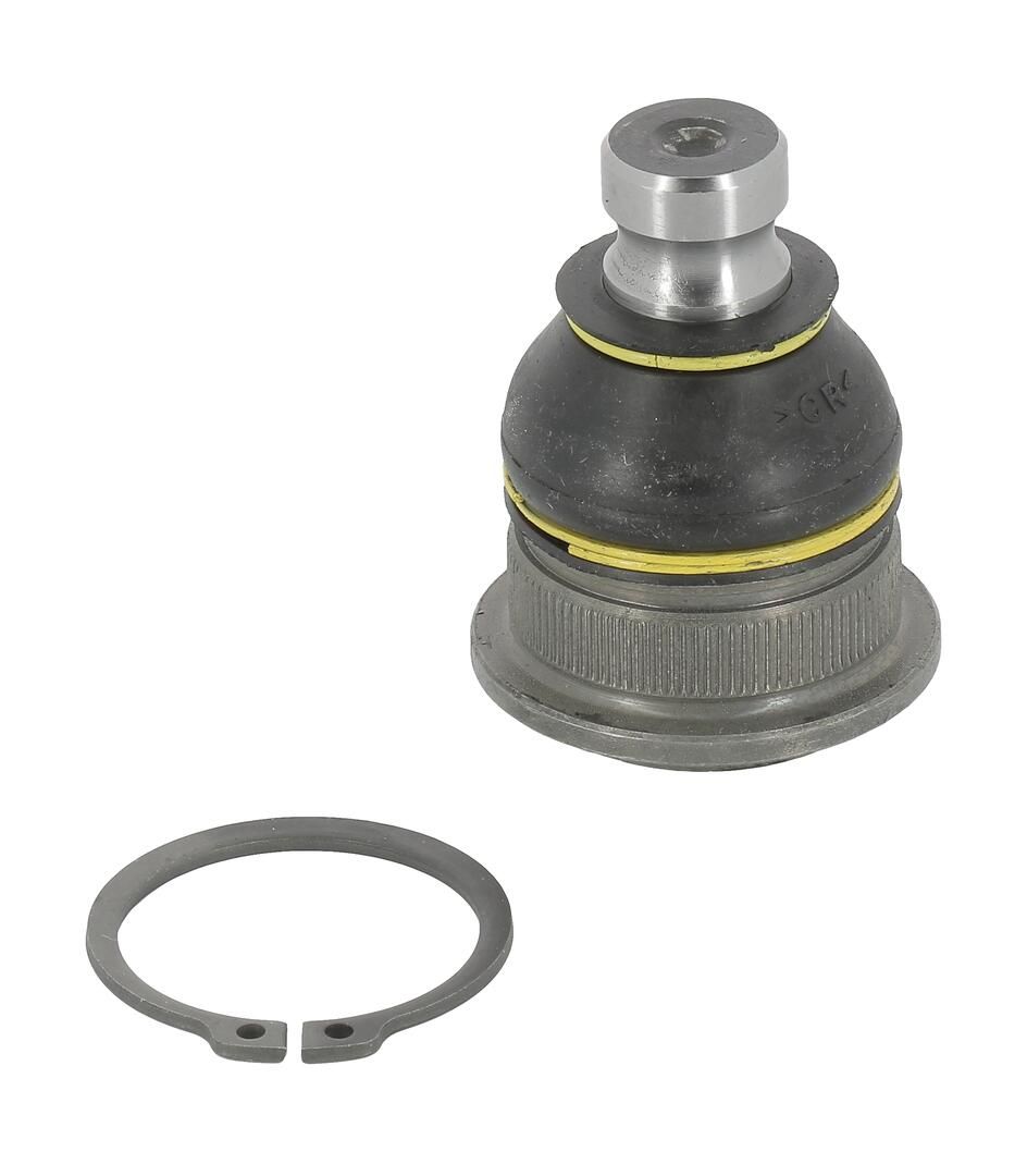 Trag-/Führungsgelenk