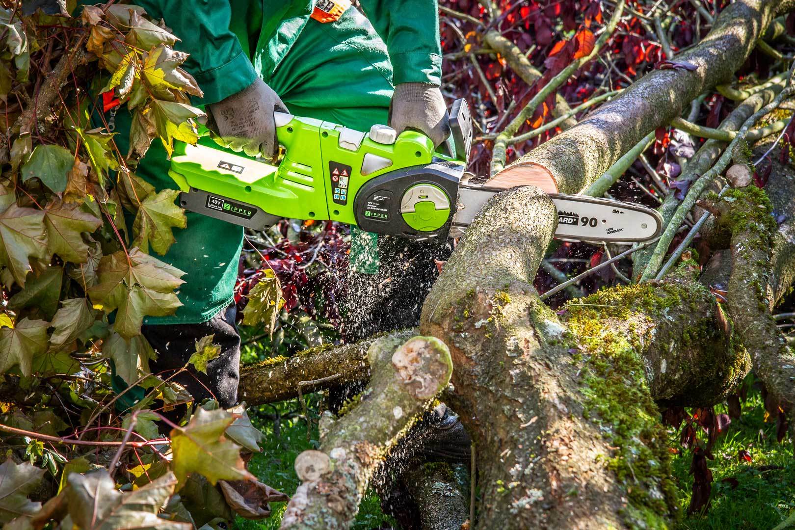 Zipper Gartenpflege Set 40 Volt Akku ZI-GPS40V-Akku