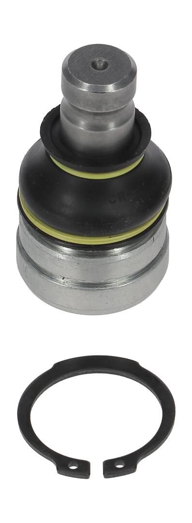 Trag-/Führungsgelenk