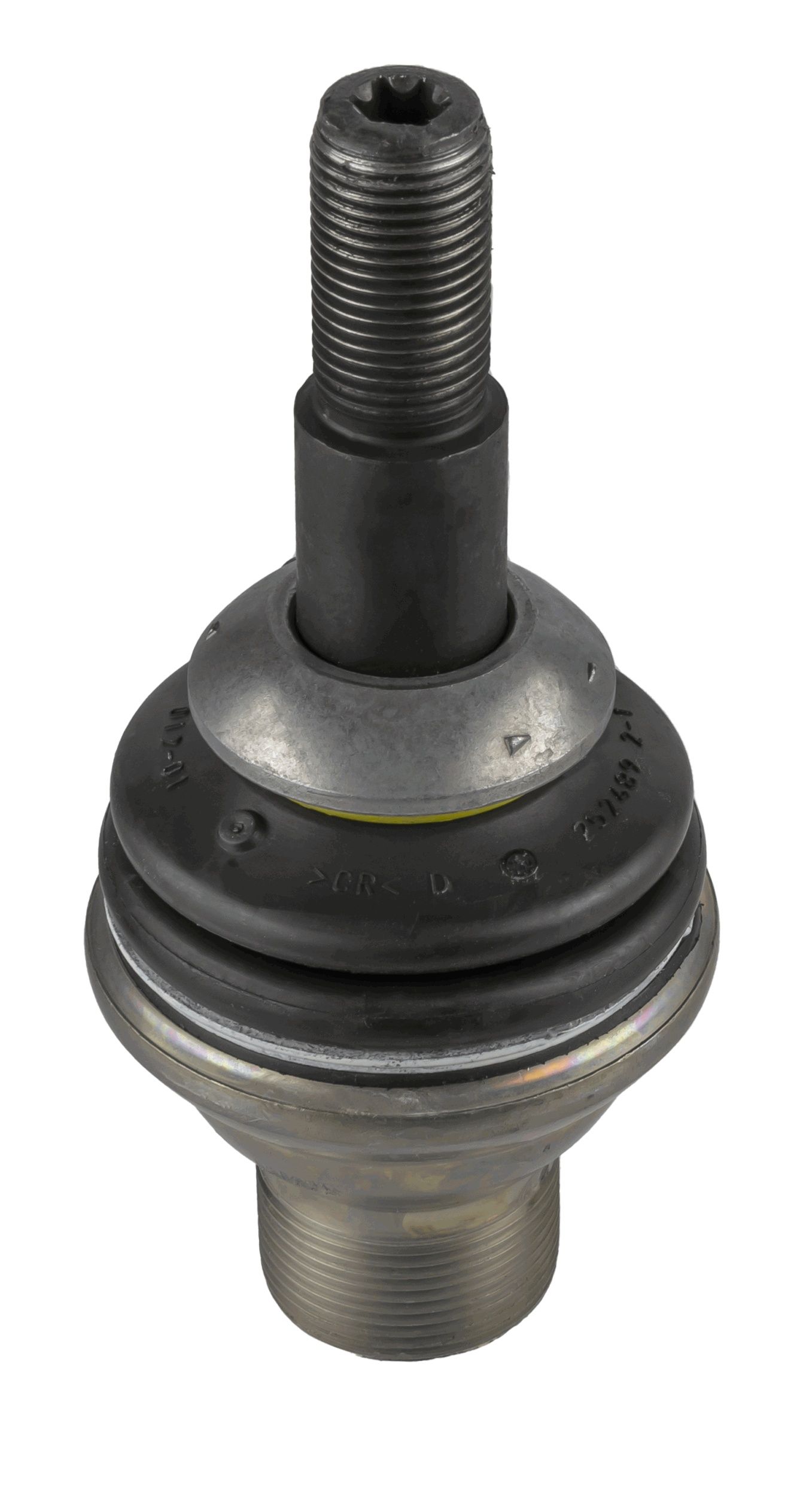 Trag-/Führungsgelenk